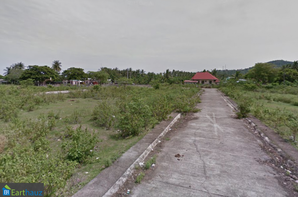 36,480 sqm Land in Evergreen Anilao Estate, Batangas